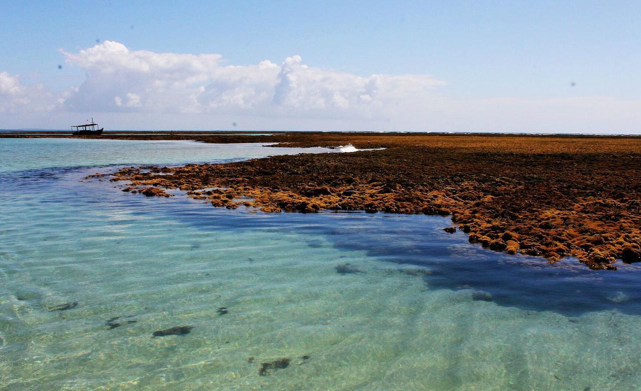 Pousada Casanossa Boipeba Island Екстер'єр фото