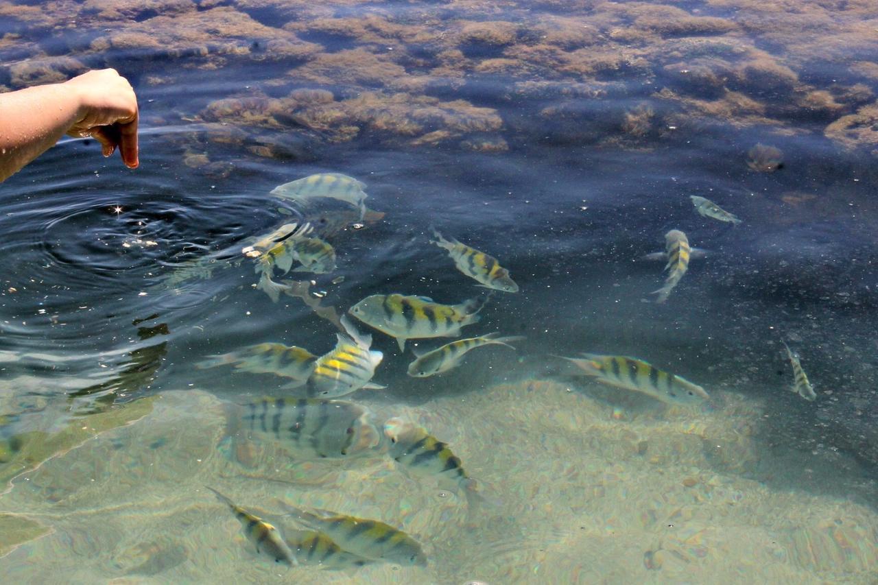 Pousada Casanossa Boipeba Island Екстер'єр фото